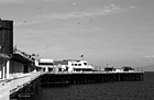 Black & White Santa Cruz Pier & Seagulls preview