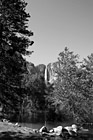 Black & White Yosemite Falls in Distance preview