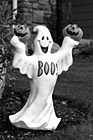Black & White Halloween Ghost & Pumpkins preview