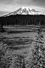Black & White Mount Rainier, Trees, & Lake preview