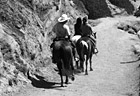 Black & White Horseback Riding at Half Moon Bay preview
