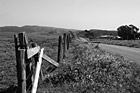 Black & White Marin County Country Road & Fence preview