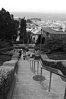 Black & White Running Stairs in the Presidio preview