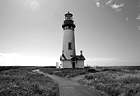 Black & White Looking at Yaquina Head Lighthouse preview