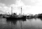 Black & White Newport, Oregon Sailboats & Bridge preview