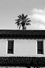 Black & White Palm Tree & Santa Clara Mission preview