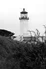 Black & White North Head Lighthouse on Washington Coast preview