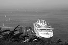 Black & White Cruise Ship in San Francisco Bay preview