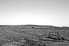 Black & White California Farmland preview