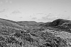 Black & White People Hiking on Green Trail preview