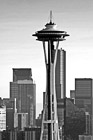 Black & White Seattle Space Needle With Buildings preview