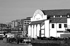 Black & White Aquarium Pier 59, Seattle preview