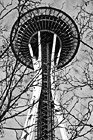 Black & White Space Needle & Tree Branches preview