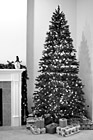 Black & White Christmas Tree & Presents preview