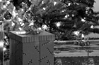 Black & White Christmas Presents & Tree Up Close preview