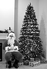 Black & White Santa Claus Sitting by Christmas Tree preview