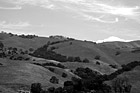 Black & White Green Hill, Trees, & Blue Sky preview