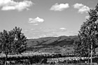 Black & White East San Jose Landscape & Houses preview