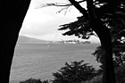 Black & White Alcatraz Between Trees preview