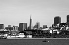 Black & White San Francisco City & Bay preview