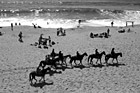 Black & White Horse Riding on the Beach preview
