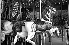 Black & White Horse Carousel preview