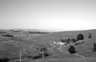 Black & White Farmland in Northern California preview