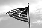 Black & White American Flag preview