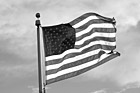 Black & White United States Flag preview
