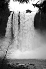 Black & White Snoqualmie Falls Large Waterflow preview