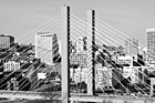 Black & White Tacoma, Washington Downtown preview