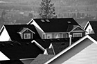 Black & White Tops of Roofs to Houses preview