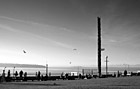 Black & White Seattle Waterfront Park & Seagulls preview