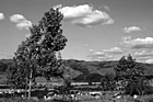 Black & White Blue Sky, Green Hills, & Trees in San Jose preview