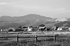 Black & White Half Moon Bay Hills & Houses preview