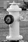 Black & White White Fire Hydrant preview