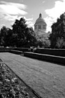 Black & White Capitol Building & Green Grass Garden preview