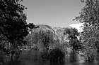 Black & White Lake Pond & Trees in Yosemite preview