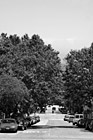 Black & White Road, Blue Sky & Leafy Trees preview