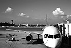 Black & White Airplane at the Terminal preview