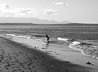 Black & White Kid & Beach preview