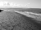 Black & White Beach at Alki preview