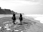 Black & White Beach Horseback Riding preview