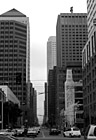 Black & White Downtown San Francisco Office Buildings preview