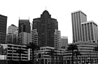 Black & White San Francisco City Buildings preview