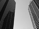 Black & White Two Tall Office Buildings in Seattle preview