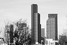 Black & White Tree & Seattle Skyscrapers preview