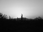 Black & White Sunset in Arizona preview