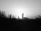 Black & White Arizona Sunset preview