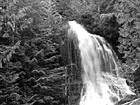 Black & White Falls Creek, Mt. Rainier National Forest preview